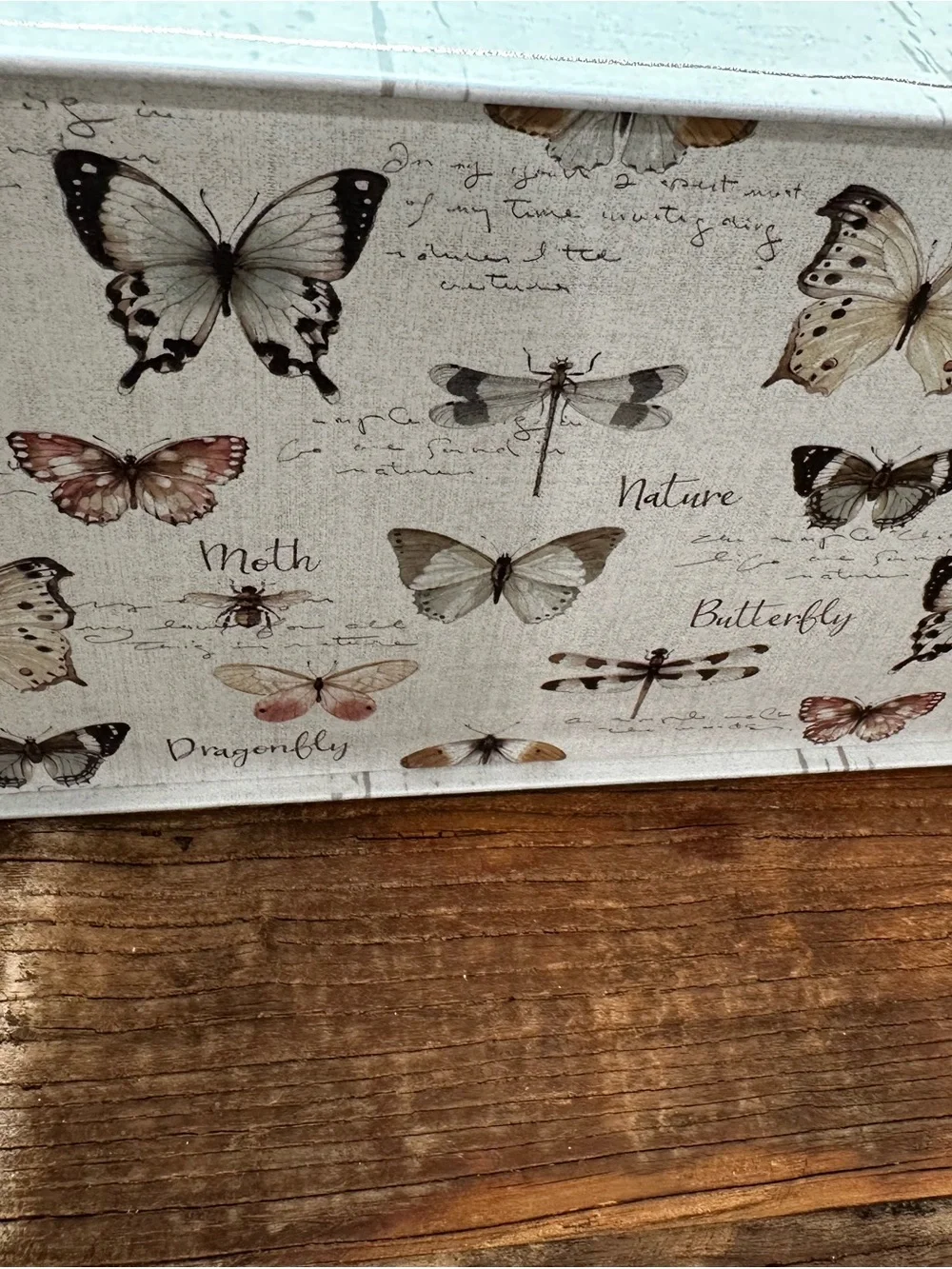 Wings Butterfly gift box Art - Neutral Cream & Tan
